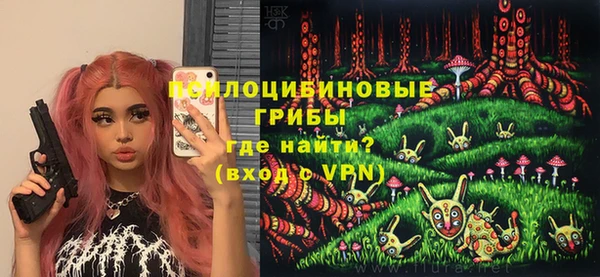 МДПВ Алзамай