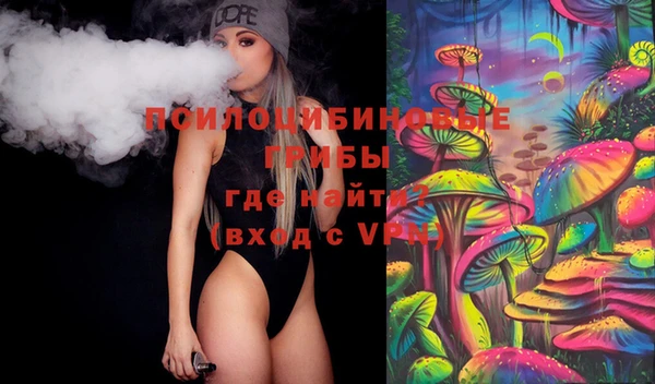 МДПВ Алзамай