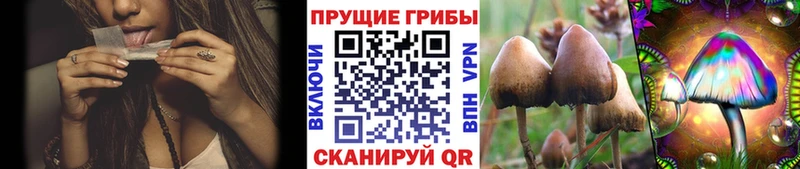купить закладку  Уссурийск  Галлюциногенные грибы прущие грибы 